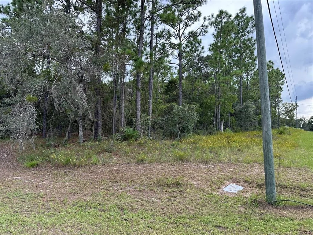 Photo of 5212 N PEPPERMINT DRIVE