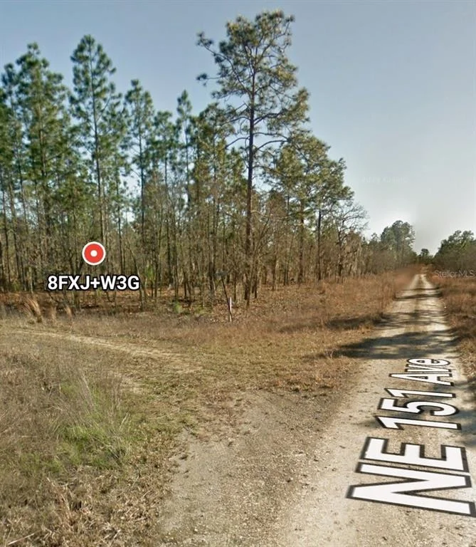 Photo of TBD NE 12 STREET