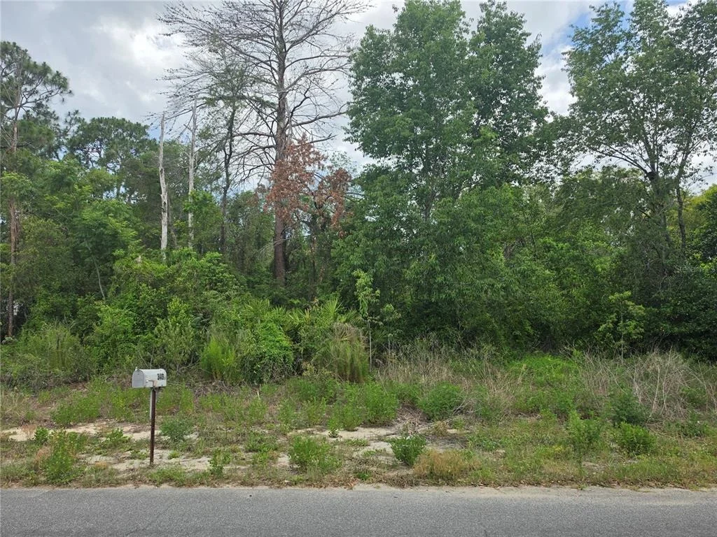 Photo of 3475 EL PRADO AVENUE