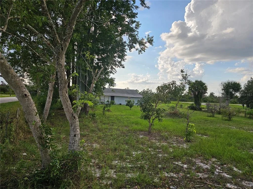 Photo of 320 COUNTY ROAD 619