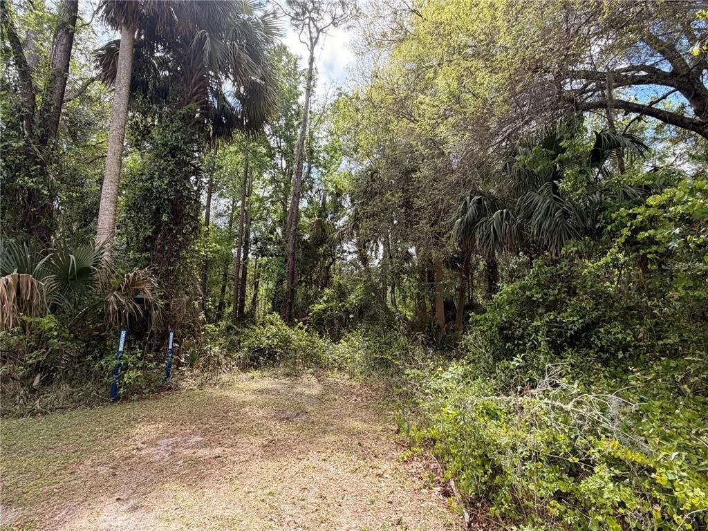 Photo of COUNTY ROAD 445A