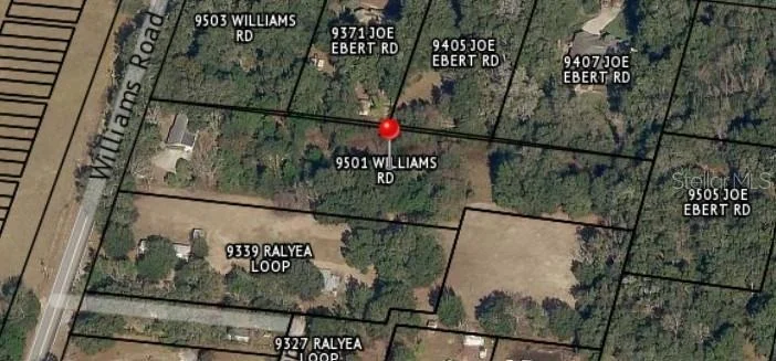 Photo of 9501 WILLIAMS ROAD