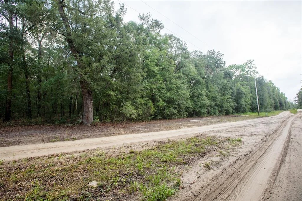 Photo of 5590 JENKINS LOOP DRIVE