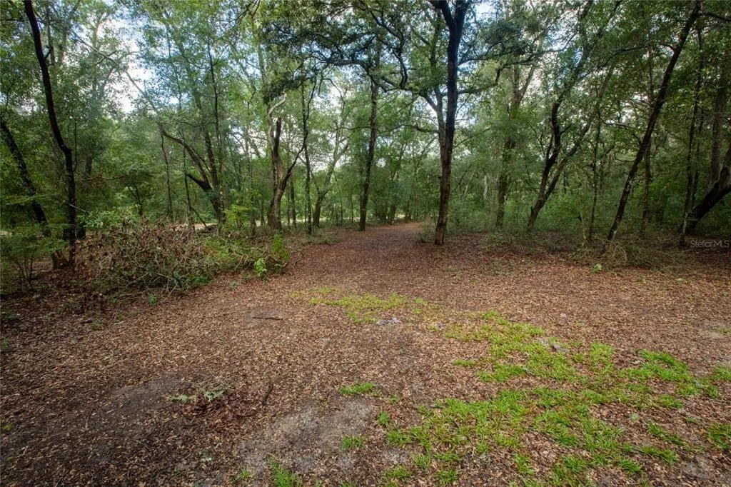 Photo of 5590 JENKINS LOOP DRIVE