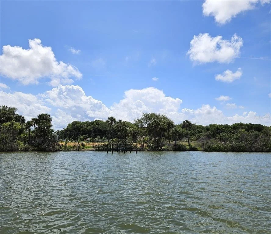 Photo of 185 JONES FISH CAMP ROAD