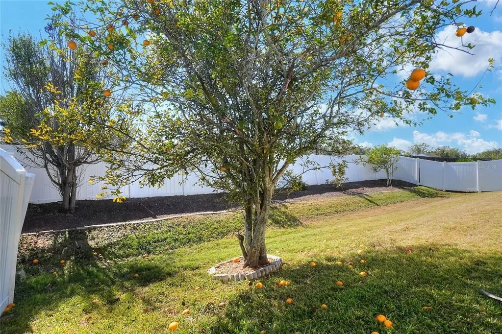 Photo of 412 EMERALD COVE LOOP