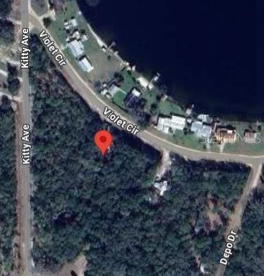 Photo of VIOLET CIRCLE