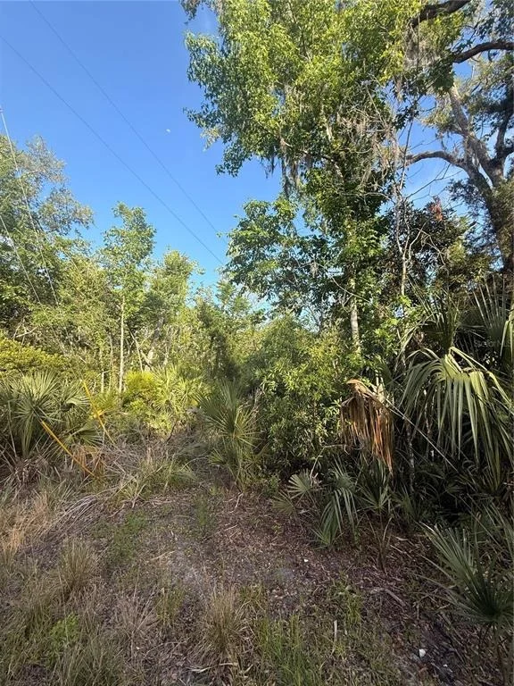 Photo of 10274 W OZELLO TRAIL
