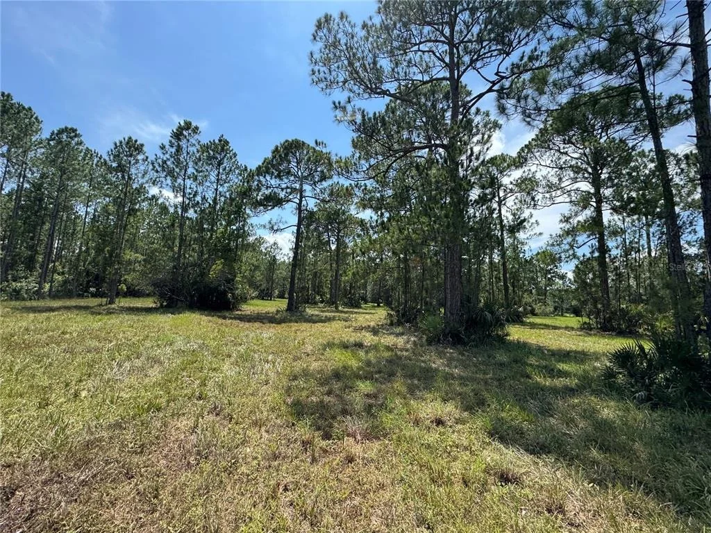 Photo of 4300 JUSTA ROAD