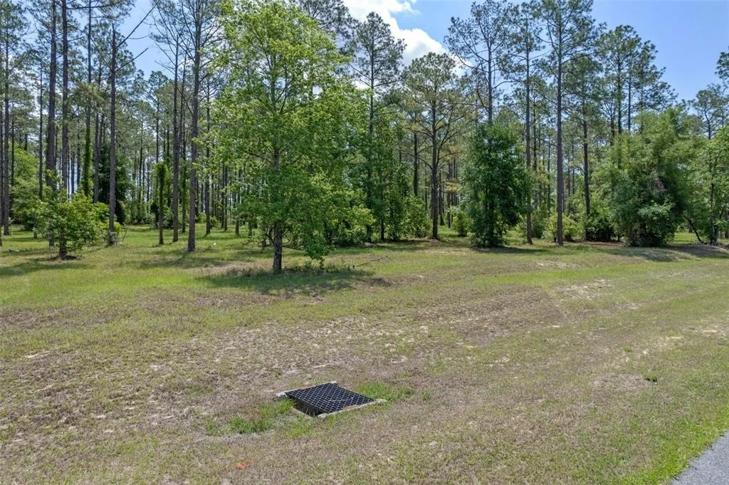 Photo of 35408 PINEGATE TRAIL