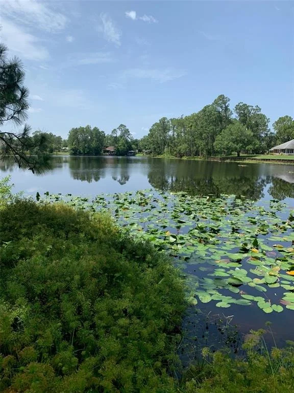 Photo of 1709 STREAM AVENUE
