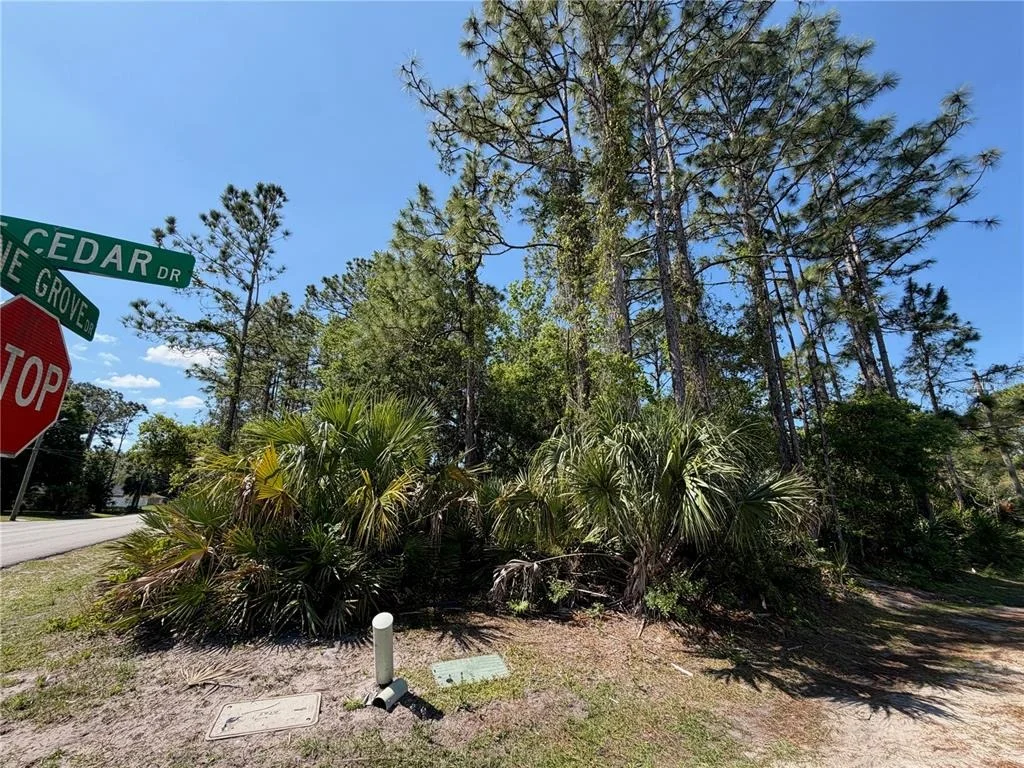 Photo of 60 PINE CEDAR DRIVE