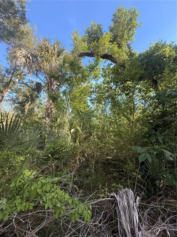 Photo of 10274 W OZELLO TRAIL