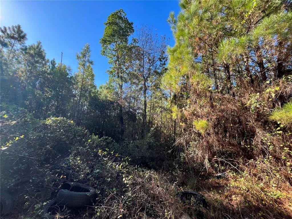 Photo of 223 MOURNING DOVE ROAD