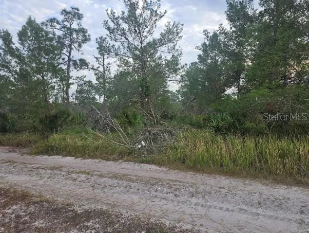Photo of 2217 ALGONQUIN DRIVE
