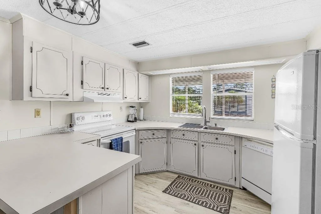 Photo of 251 IBIS