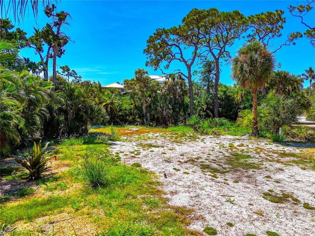 Photo of 7233 PINE NEEDLE ROAD
