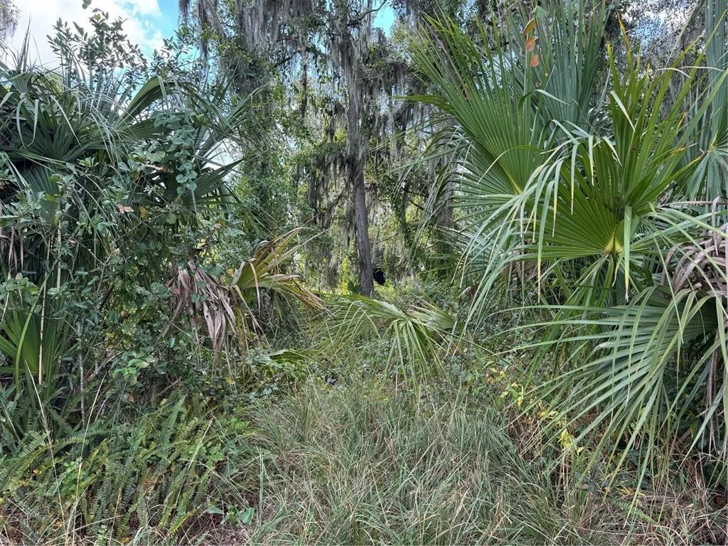 Photo of 3721 PORTER ROAD