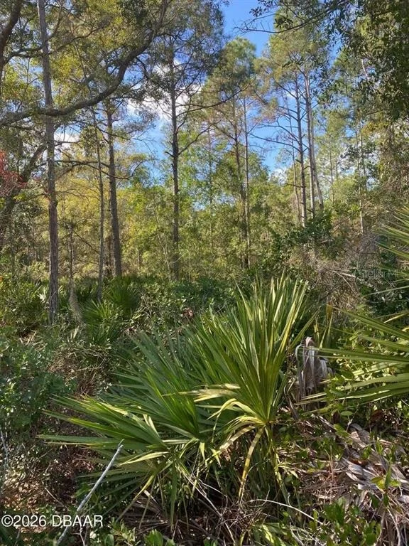 Photo of 820 OLD BUBBLY ROAD
