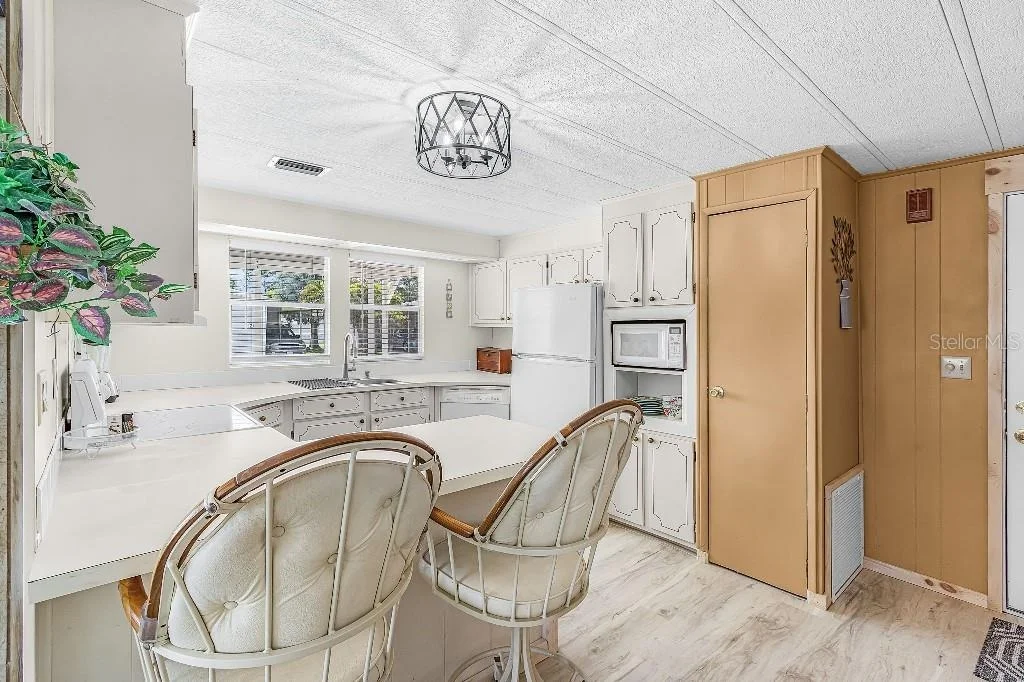 Photo of 251 IBIS