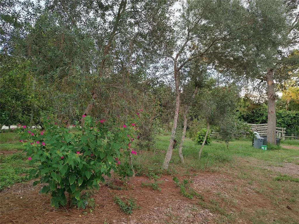 Photo of 10342 SHADY DRIVE