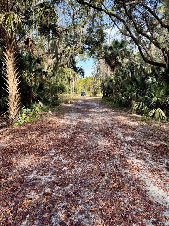 Photo of 480 CLINTON CEMETERY ROAD