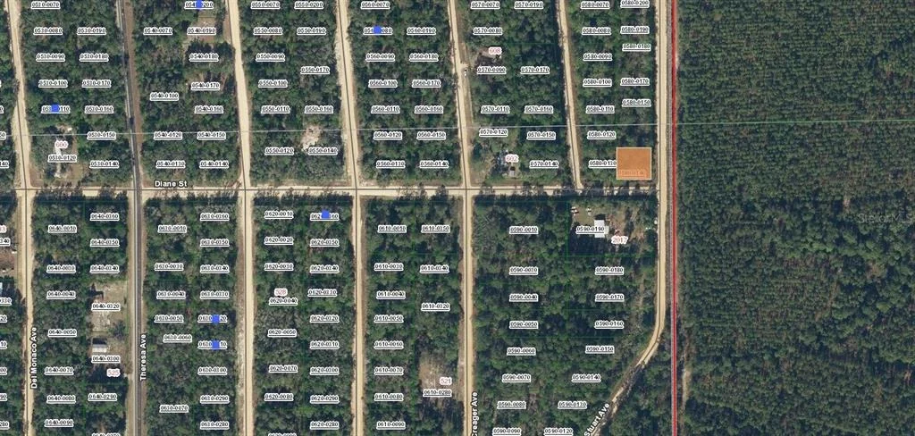 Photo of DIANE STREET