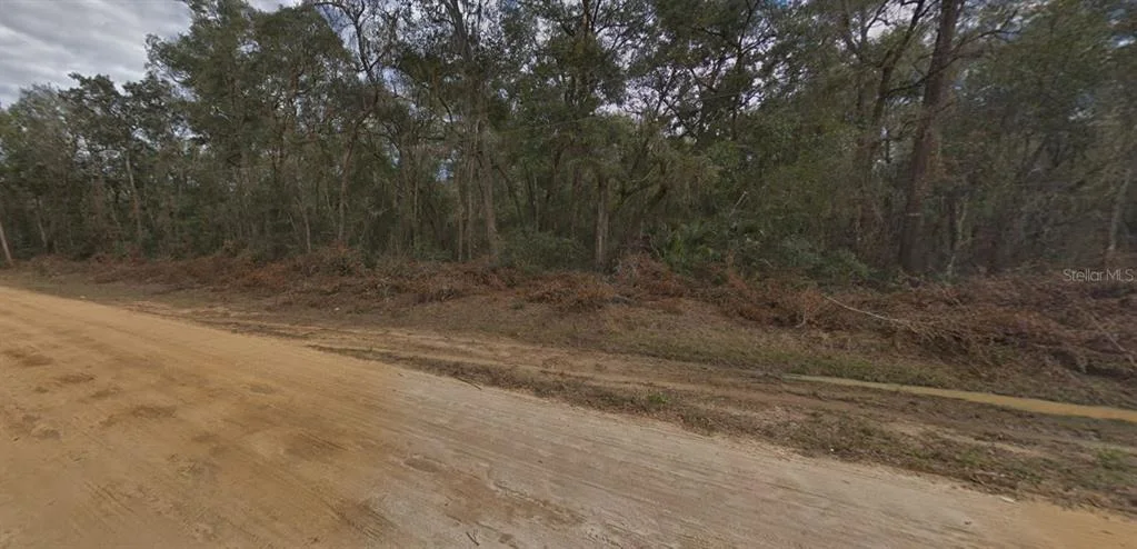 Photo of 00 WALKER DRIVE