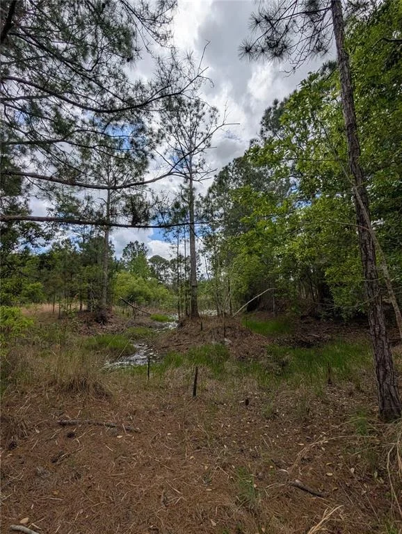 Photo of 38521 ILEX TRAIL