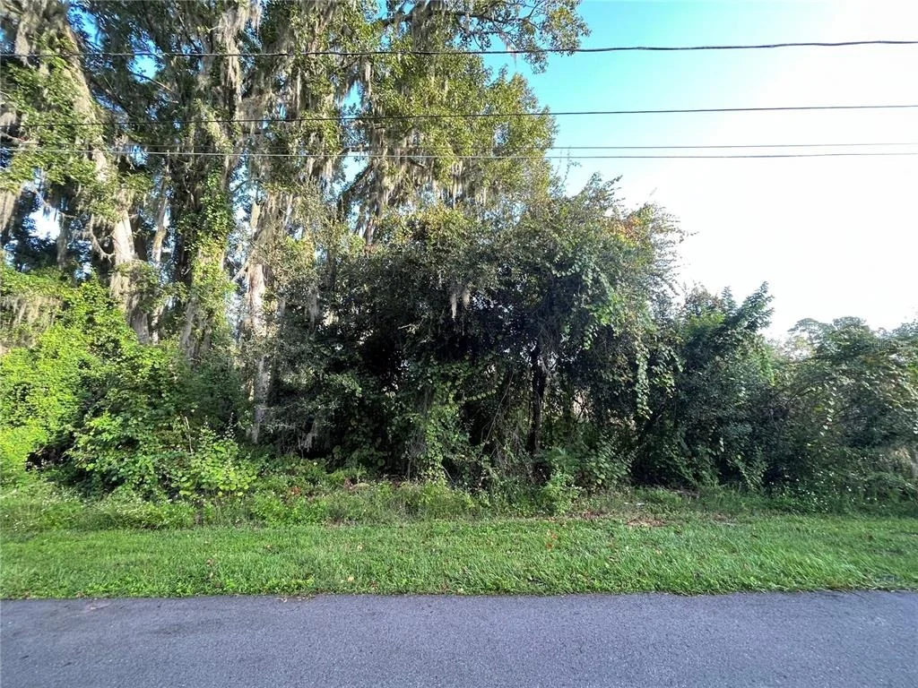 Photo of 268 TOMS ROAD