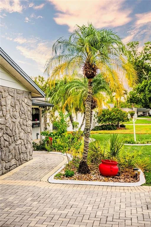 Photo of 898 CORVETTE DRIVE