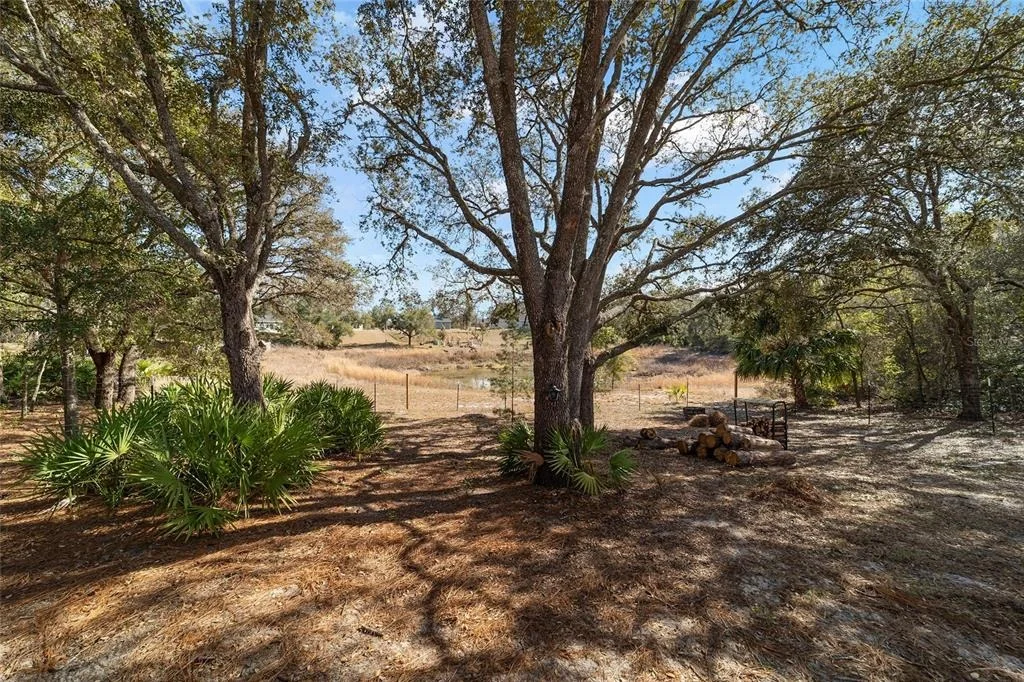 Photo of 6 MALAUKA CIRCLE