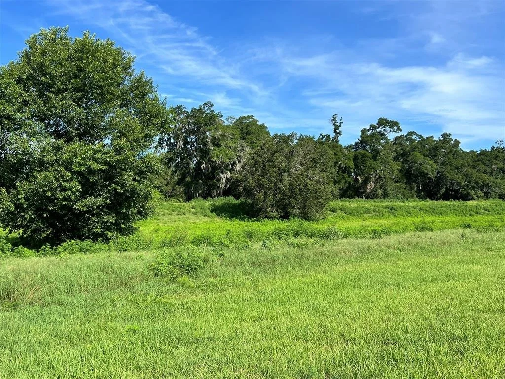 Photo of Unit LOT5 at 0 SE 8TH AVENUE