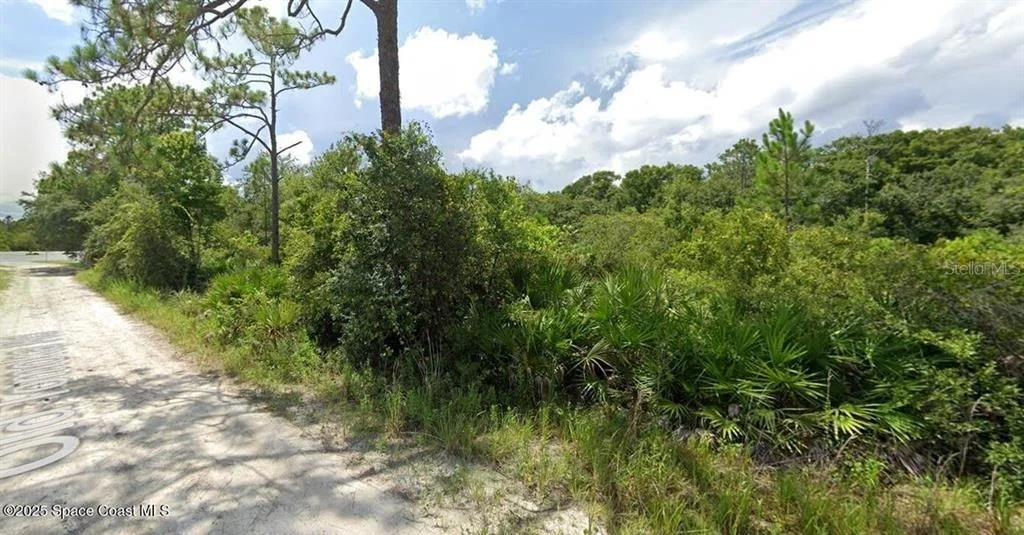 Photo of W SR-40