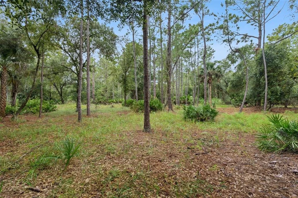 Photo of 14133 LUND DRIVE