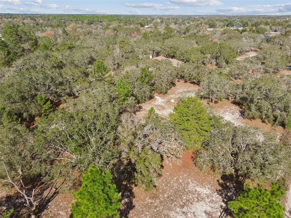 Photo of 14459 COYOTE ROAD