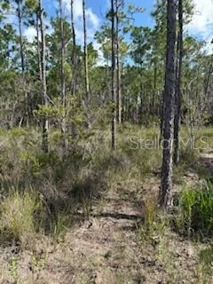 Photo of 37610 OAKLEE ROAD