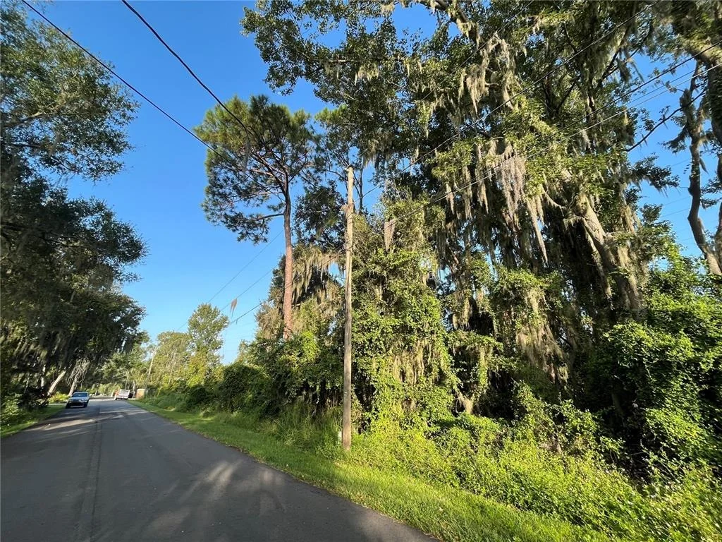 Photo of 262 TOMS ROAD