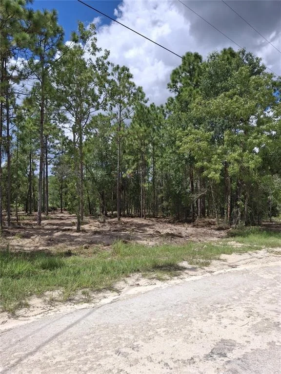 Photo of 14167 CONDOR ROAD