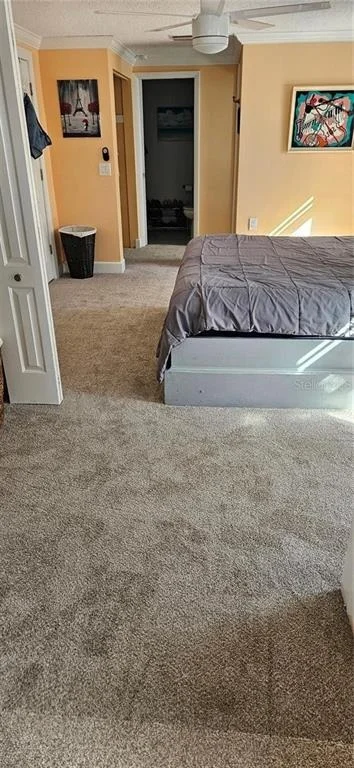 Photo of 1117 RUSHMORE DRIVE