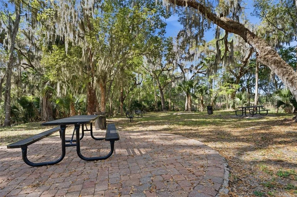 Photo of 771 LAZIO CIRCLE