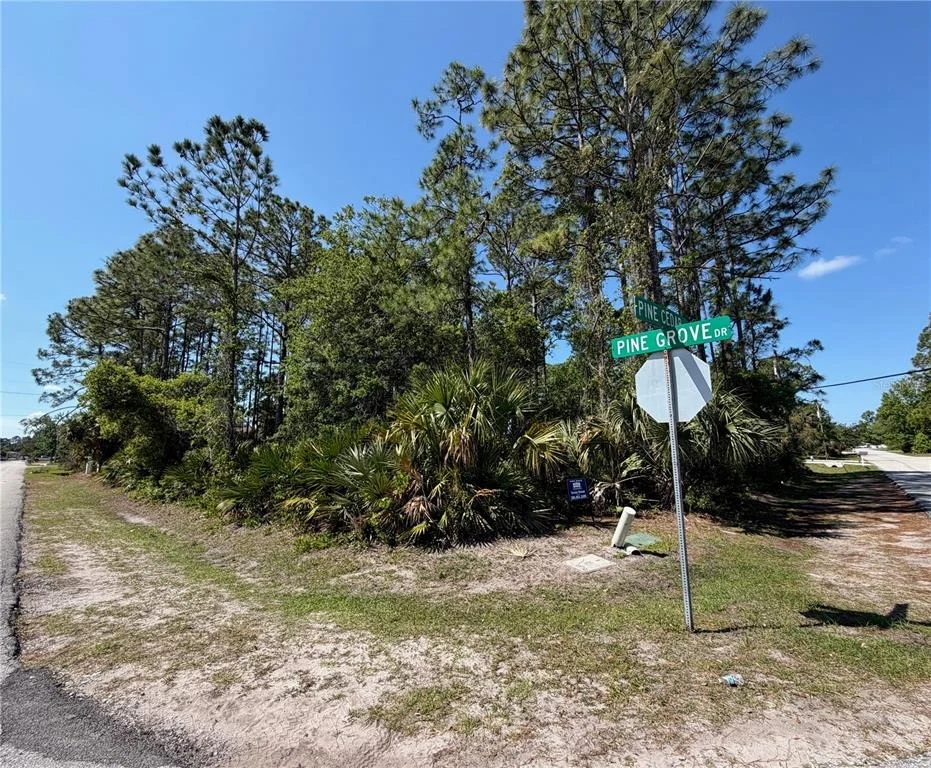 Photo of 60 PINE CEDAR DRIVE