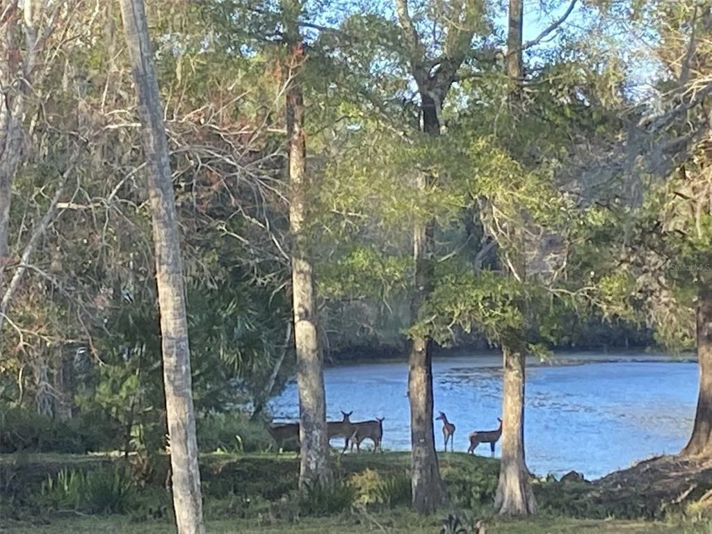 Photo of 11772 N RIVER SOUND PATH