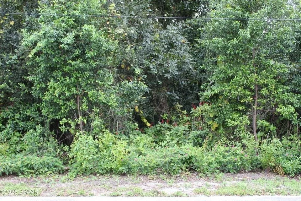 Photo of 510 FRED GAMBLE WAY