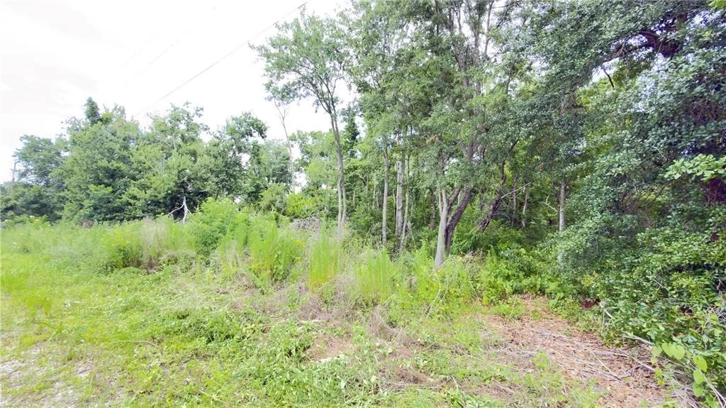 Photo of 7402 LAND DRIVE