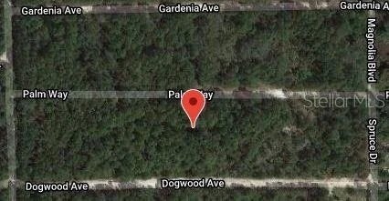 Photo of 117 PALM WAY