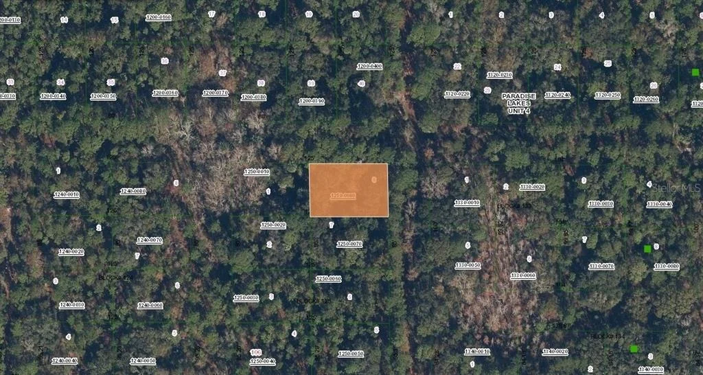 Photo of SPRUCE DRIVE
