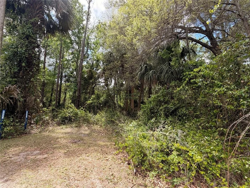 Photo of COUNTY ROAD 445A