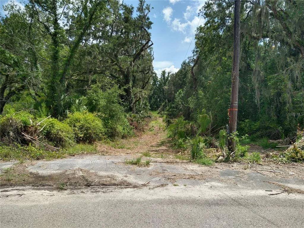 Photo of 10616 SHADY DRIVE