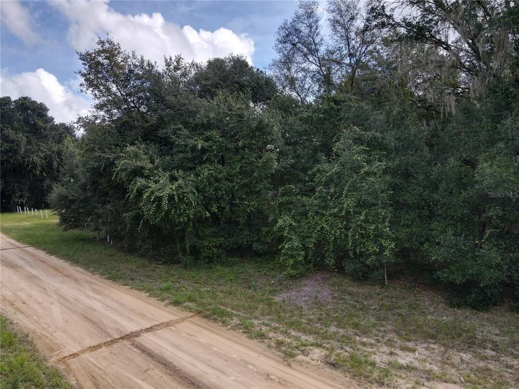 Photo of GUNNER AVE